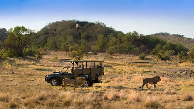 Tshukudu Lodge — image 5
