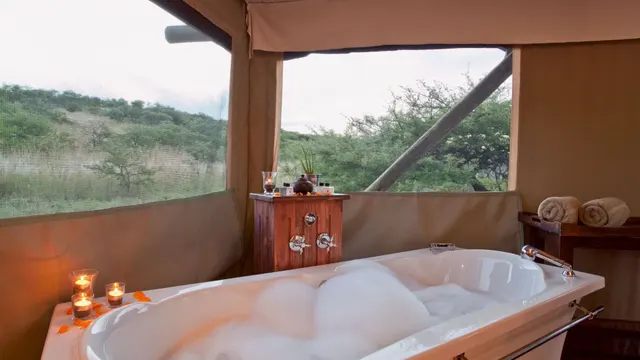 Springbok Lodge — image 2