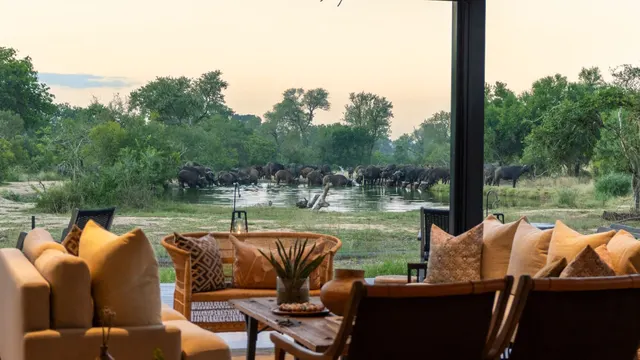 Thornybush — destination image 9