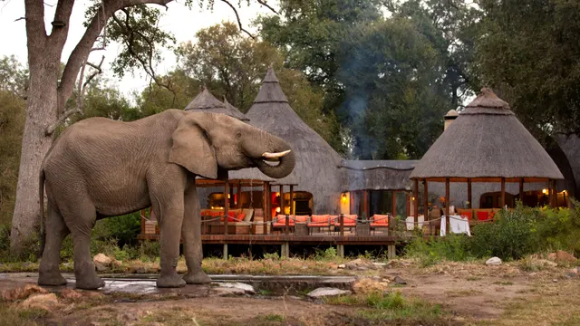 Hoyo-Hoyo Safari Lodge