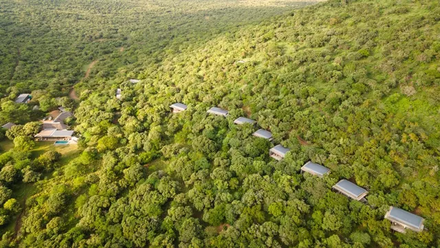 Sungulwane — image 5