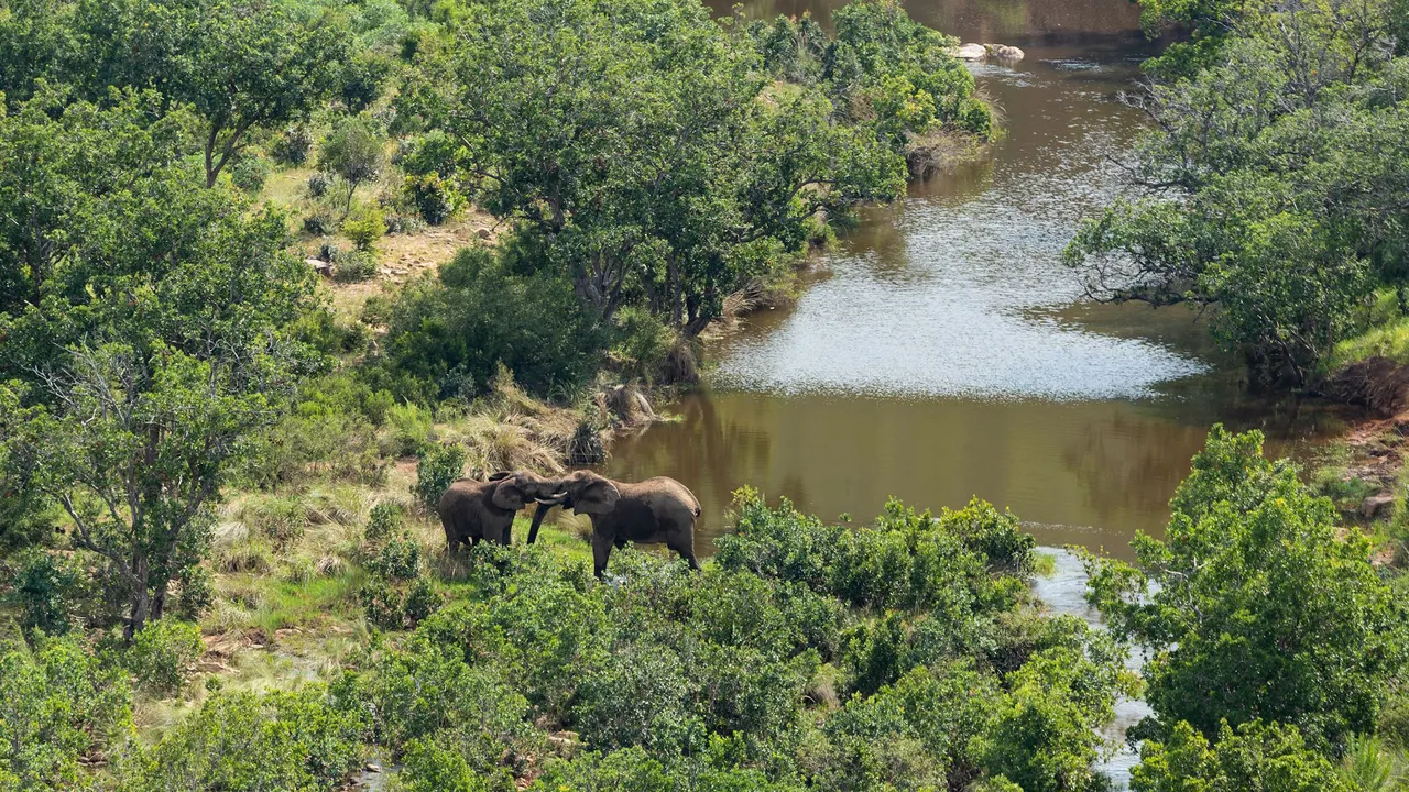 Clifftop Exclusive Safari Hideaway — image 9