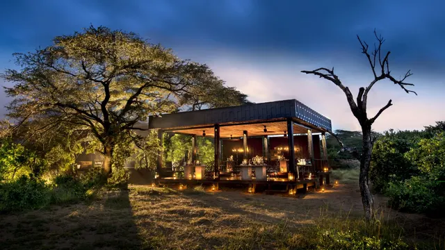 Phinda Vlei Lodge — image 6