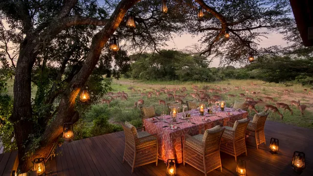 Phinda Vlei Lodge — image 4