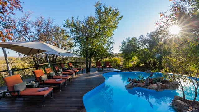 Impodimo Game Lodge — image 4