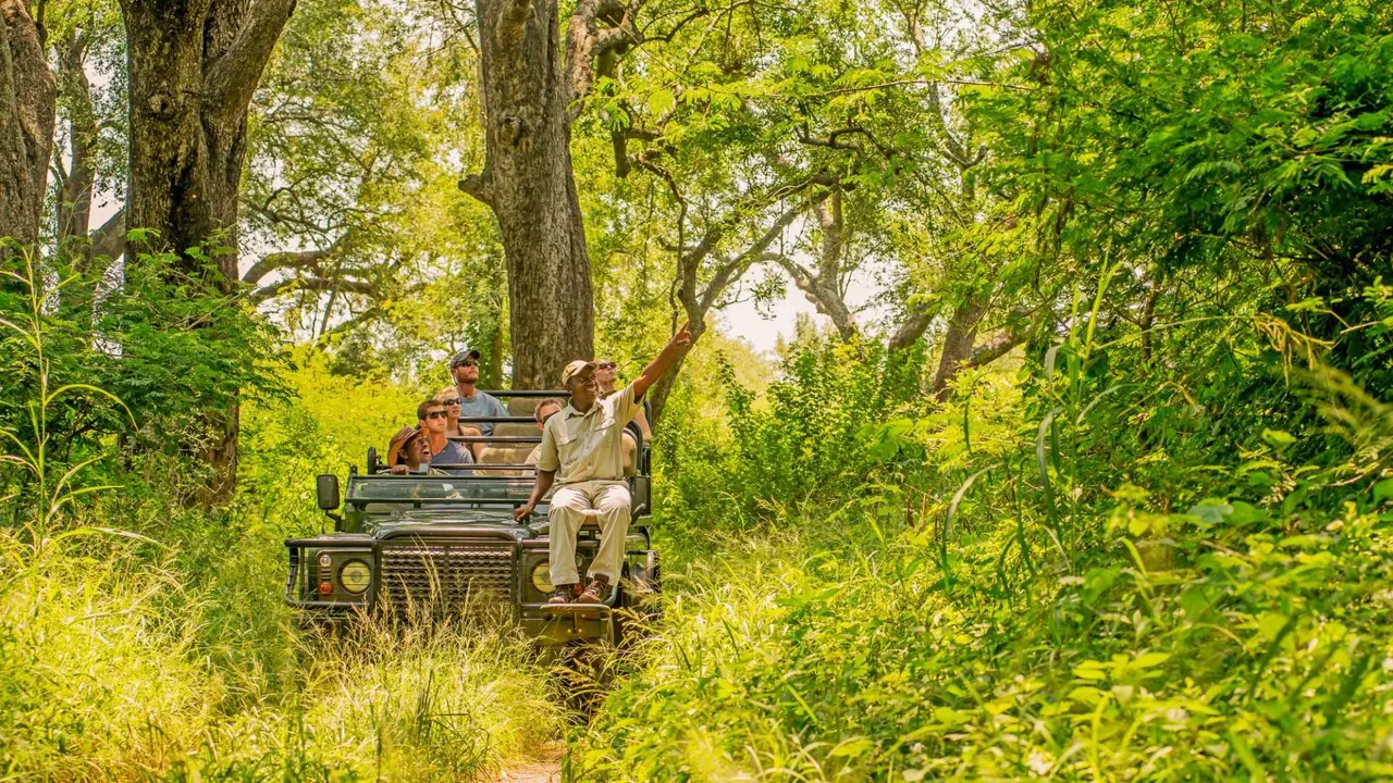 Karongwe River Lodge — image 6