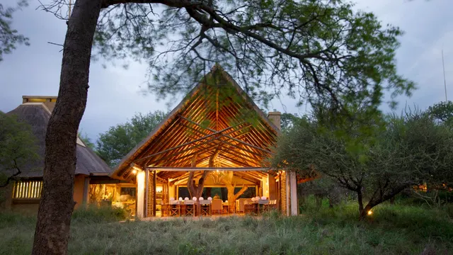 Kapama Southern Camp — image 5