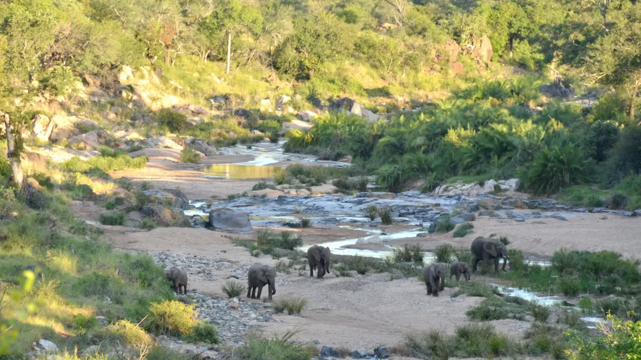 Greenfire Game Lodge — image 3