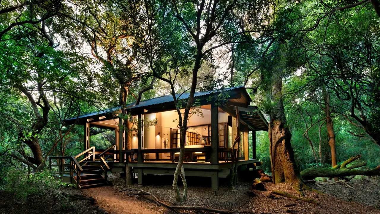 Phinda Forest Lodge — image 1