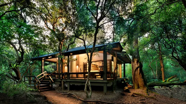Phinda Forest Lodge