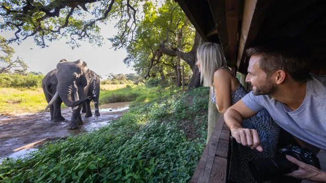 Tintswalo Safari — image 3