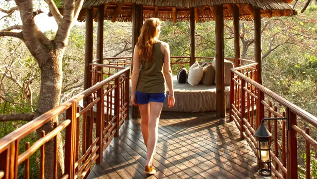 Thanda Safari Lodge — image 3