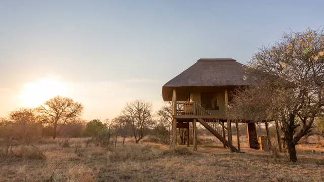 nThambo Tree Camp — image 6