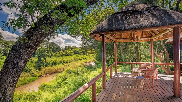 Karongwe River Lodge — image 10