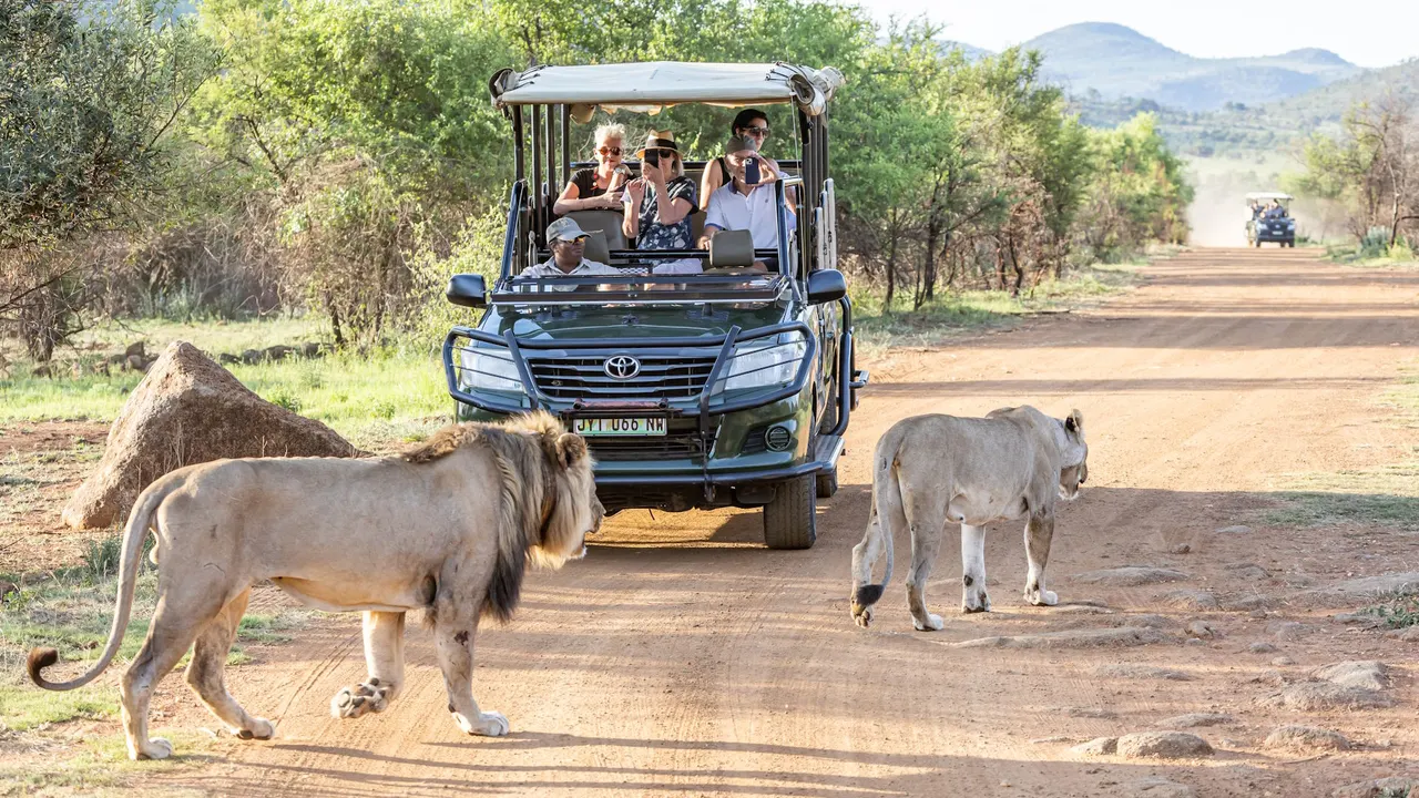 Ivory Tree Game Lodge — image 4