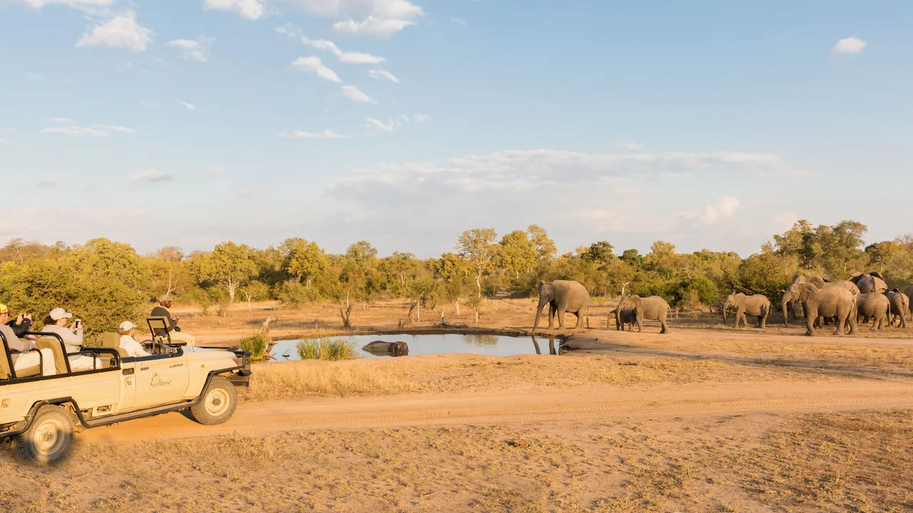 Arathusa Safari Lodge — image 21