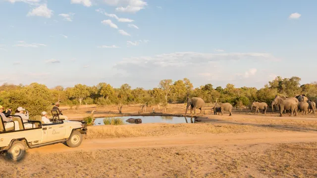 Arathusa Safari Lodge — image 21