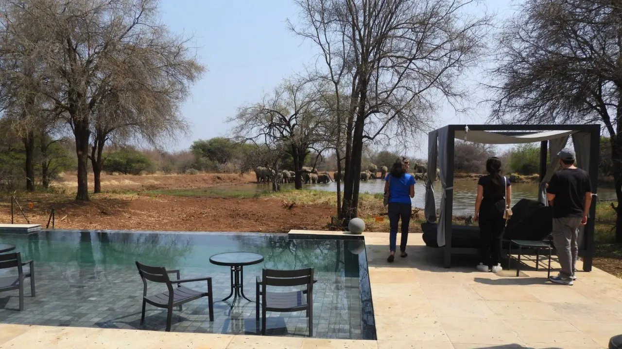 Black Rhino Game Lodge — image 12