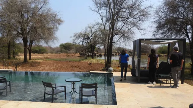 Black Rhino Game Lodge — image 12