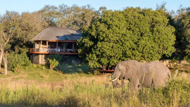 Dulini River Lodge — image 16