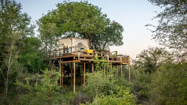 Garonga Safari Camp — image 9