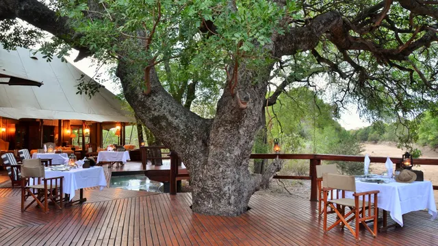 Hamiltons Tented Camp — image 20
