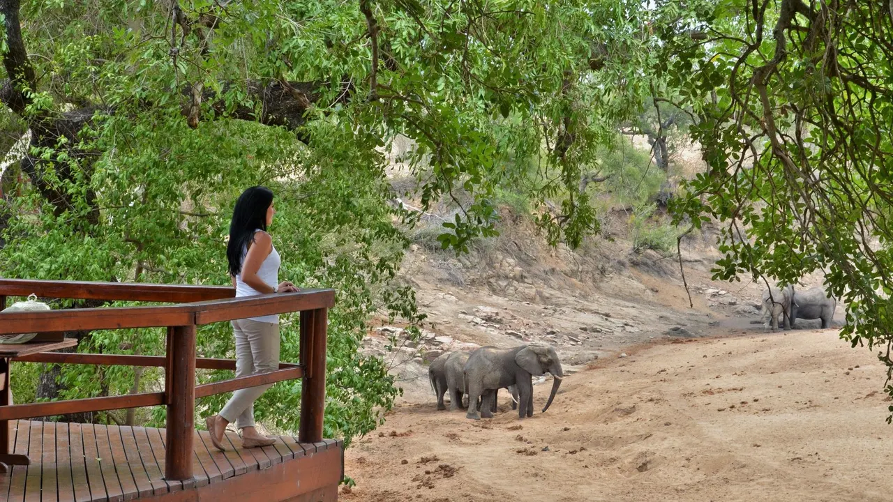 Hamiltons Tented Camp — image 11