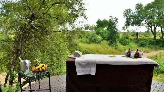Hoyo-Hoyo Safari Lodge — image 21
