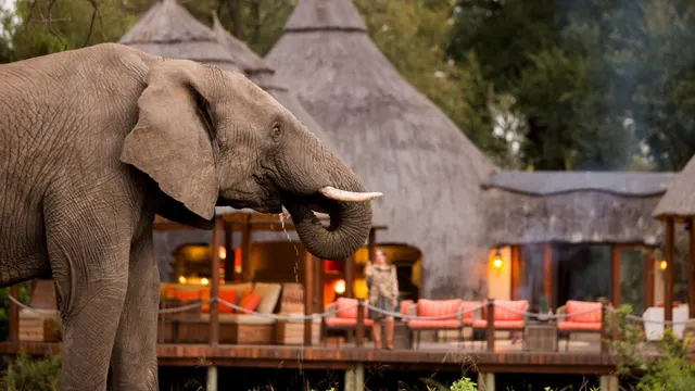 Hoyo-Hoyo Safari Lodge — image 18