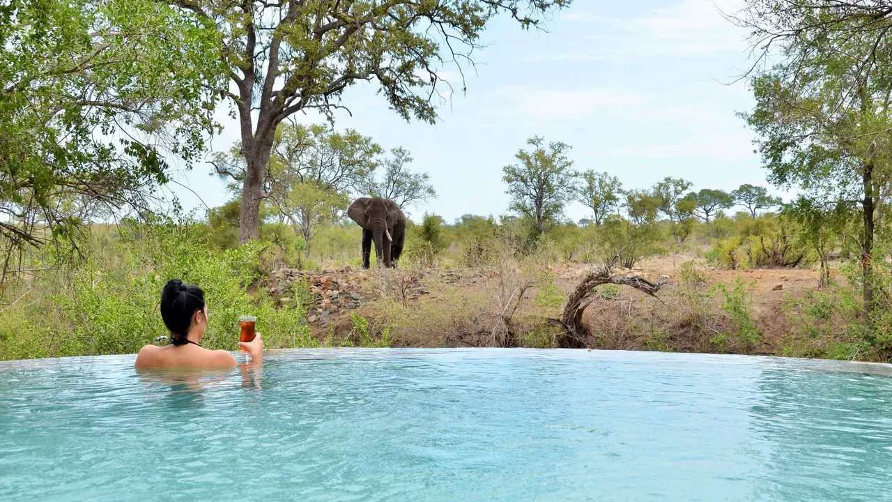 Hoyo-Hoyo Safari Lodge — image 12