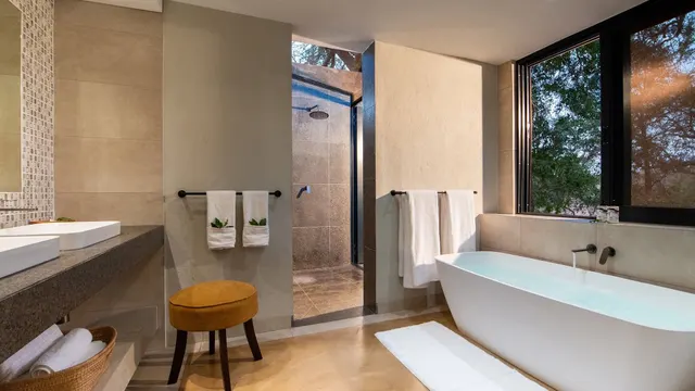 Idube Game Lodge — image 19