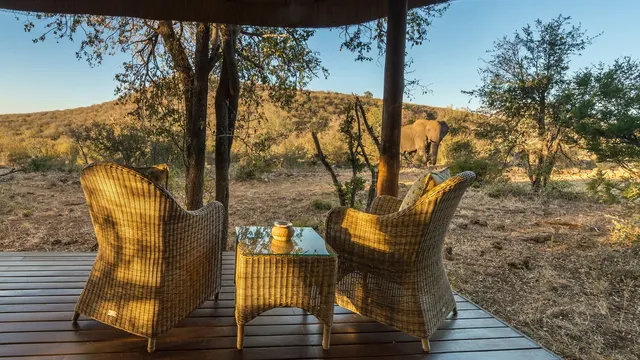Impodimo Game Lodge — image 13