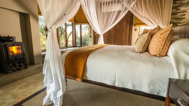 Impodimo Game Lodge — image 15