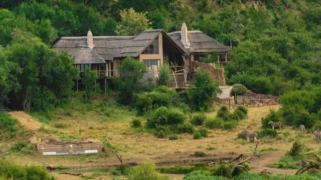 Impodimo Game Lodge — image 20