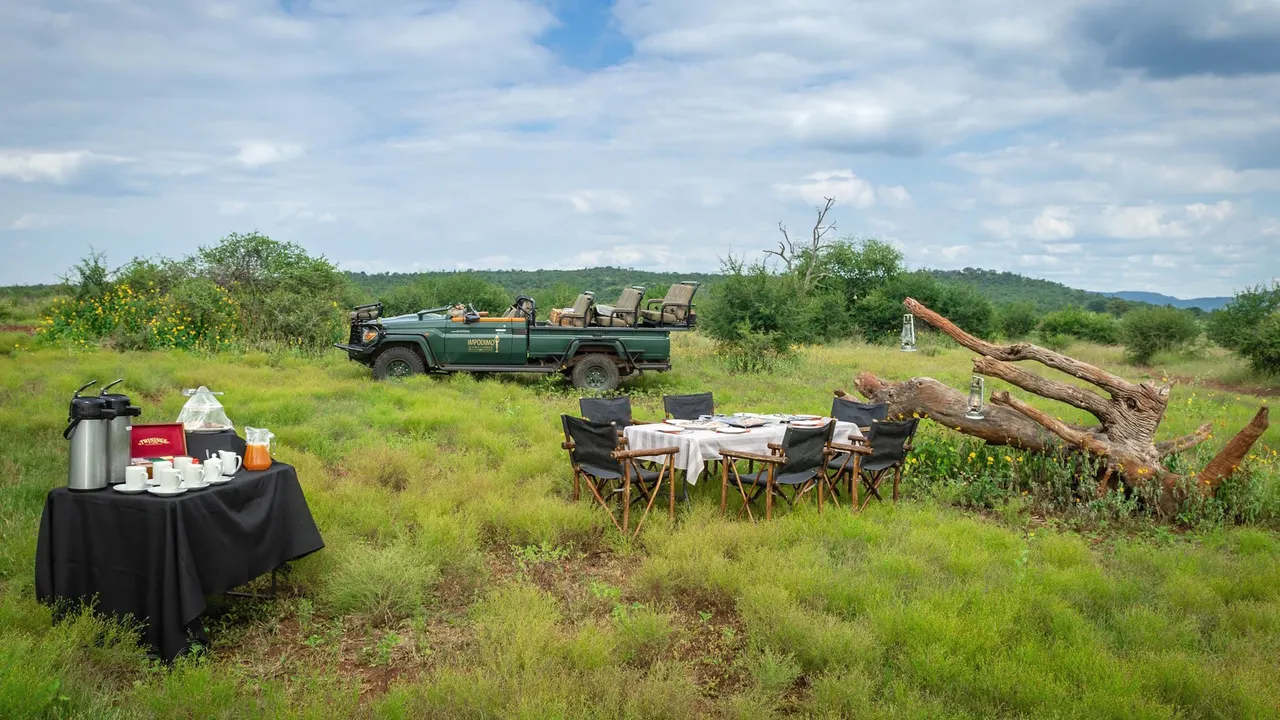 Impodimo Game Lodge — image 22