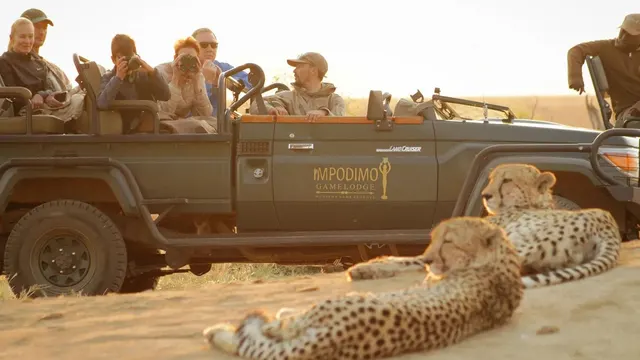 Impodimo Game Lodge — image 27