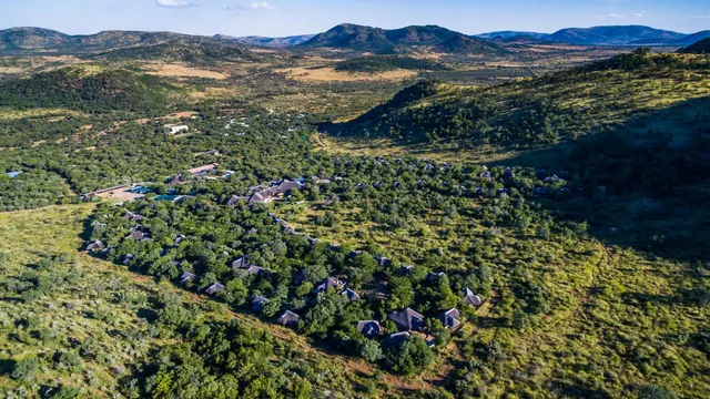 Ivory Tree Game Lodge — image 31