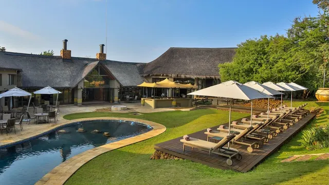 Ivory Tree Game Lodge — image 22