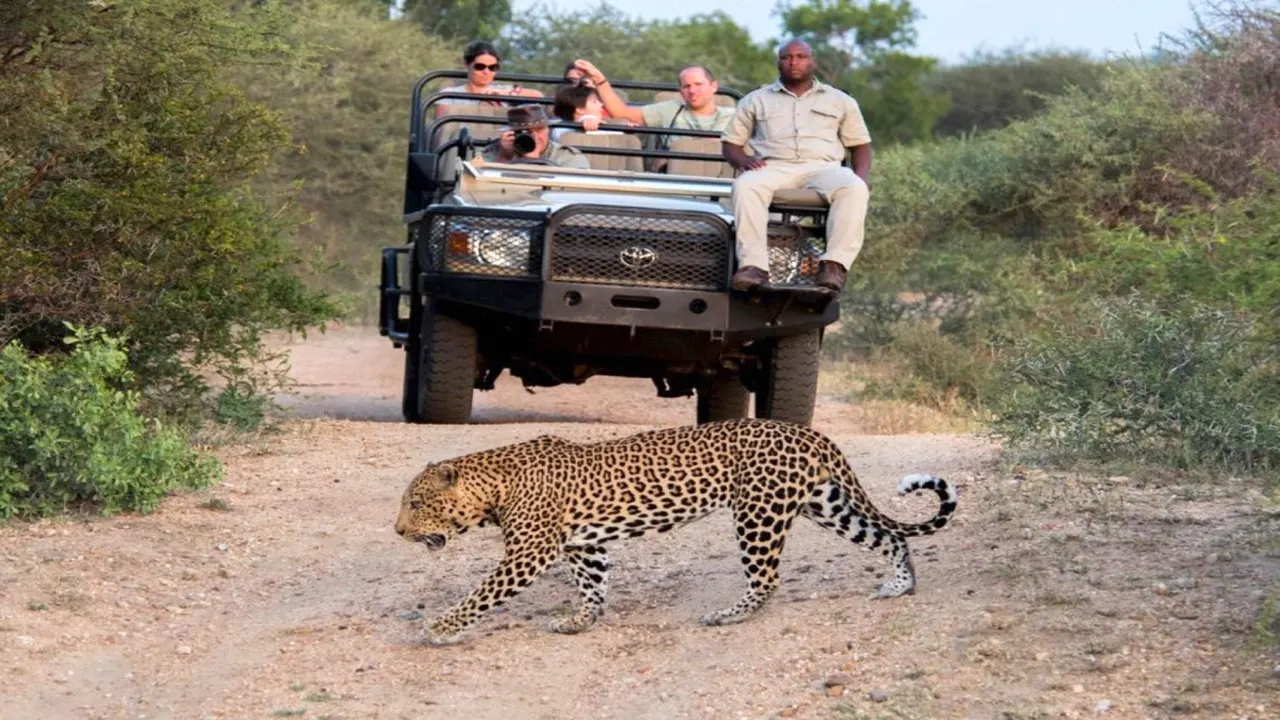 Kapama River Lodge — image 28