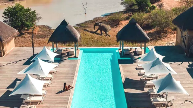 Kapama River Lodge — image 4