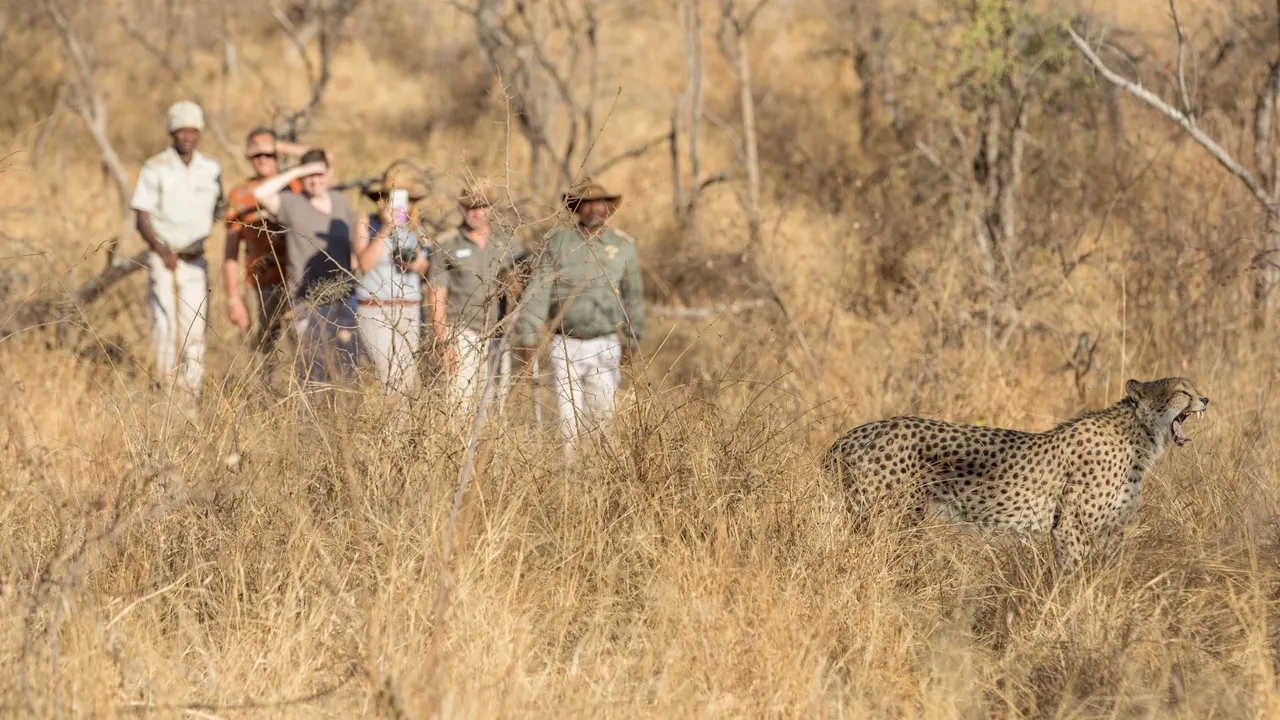 Karongwe River Lodge — image 19