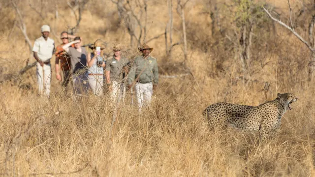 Karongwe River Lodge — image 19
