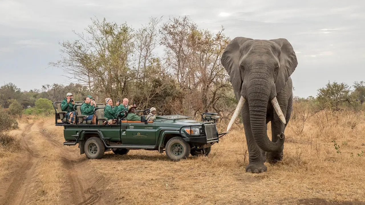 Karongwe River Lodge — image 30