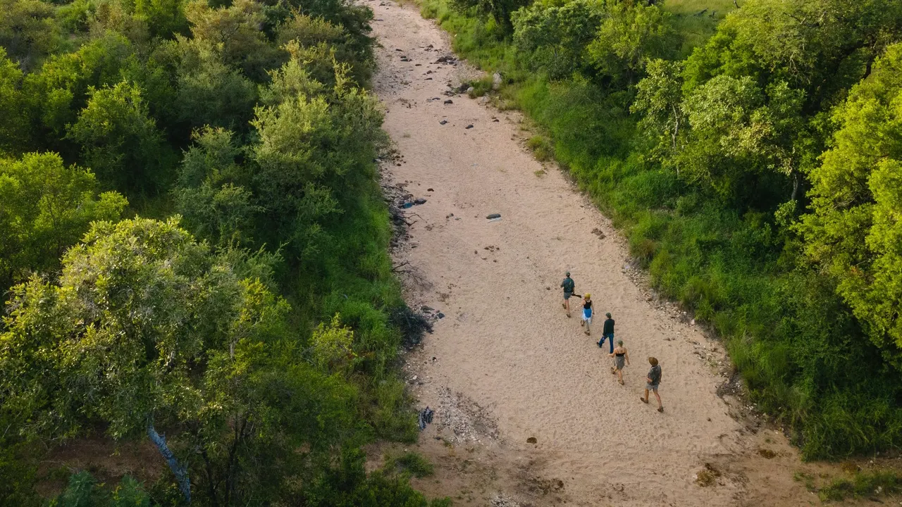 Klaserie Drift Misava Camp — image 17