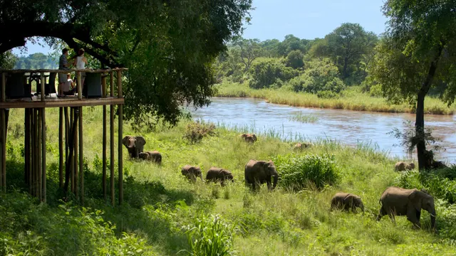 Lion Sands Narina Lodge — image 18