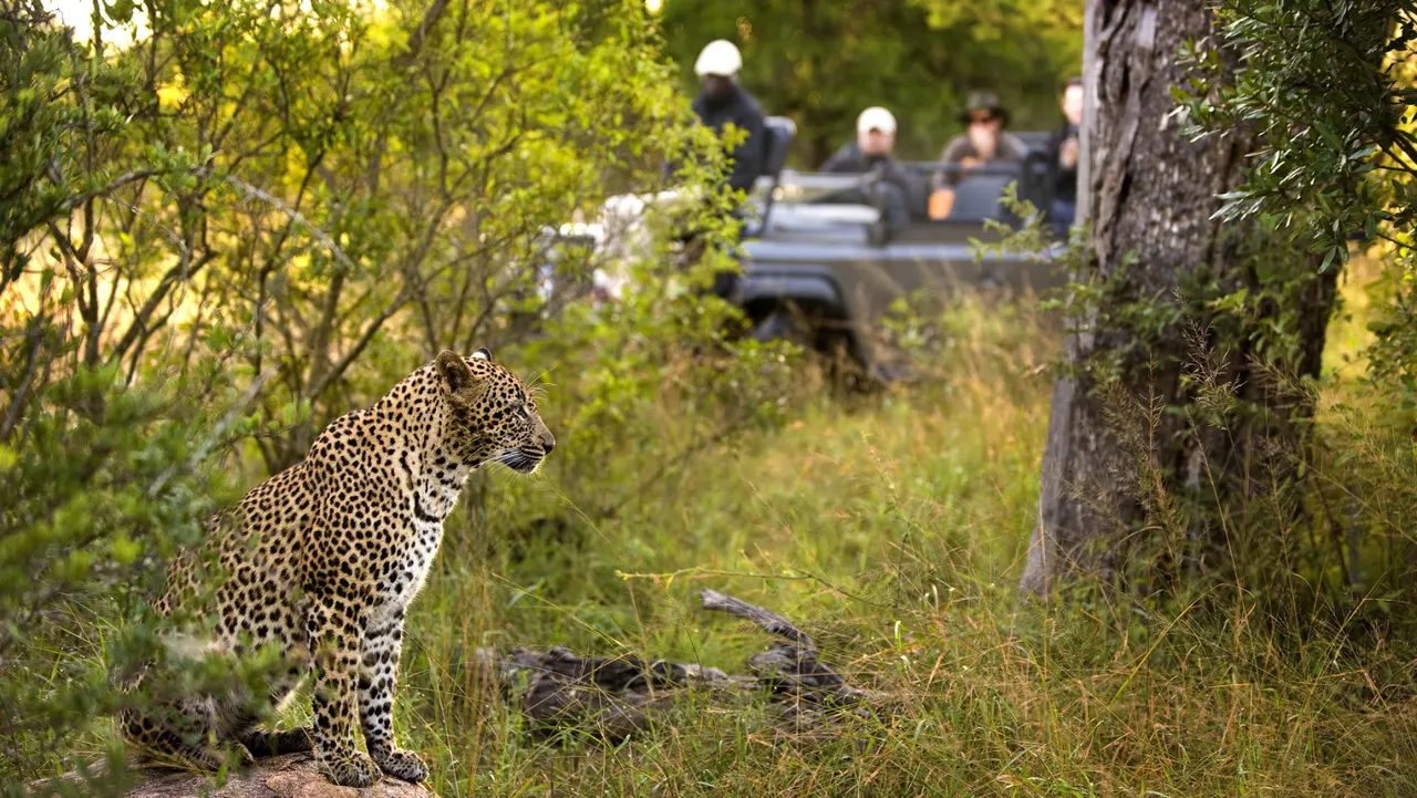 Lion Sands Tinga Lodge — image 22