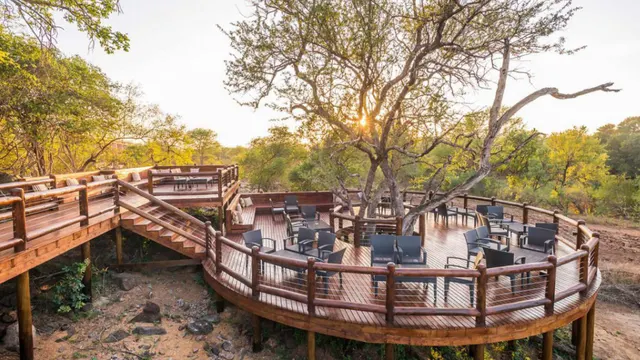 Makalali Main Lodge — image 17