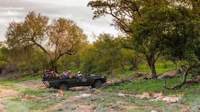 Makalali River Lodge — image 7