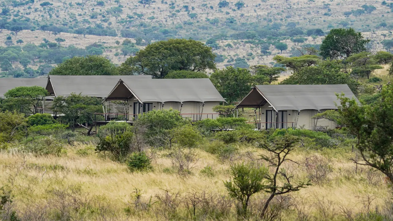 Mavela Game Lodge — image 8