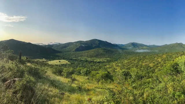 Mavela Game Lodge — image 30